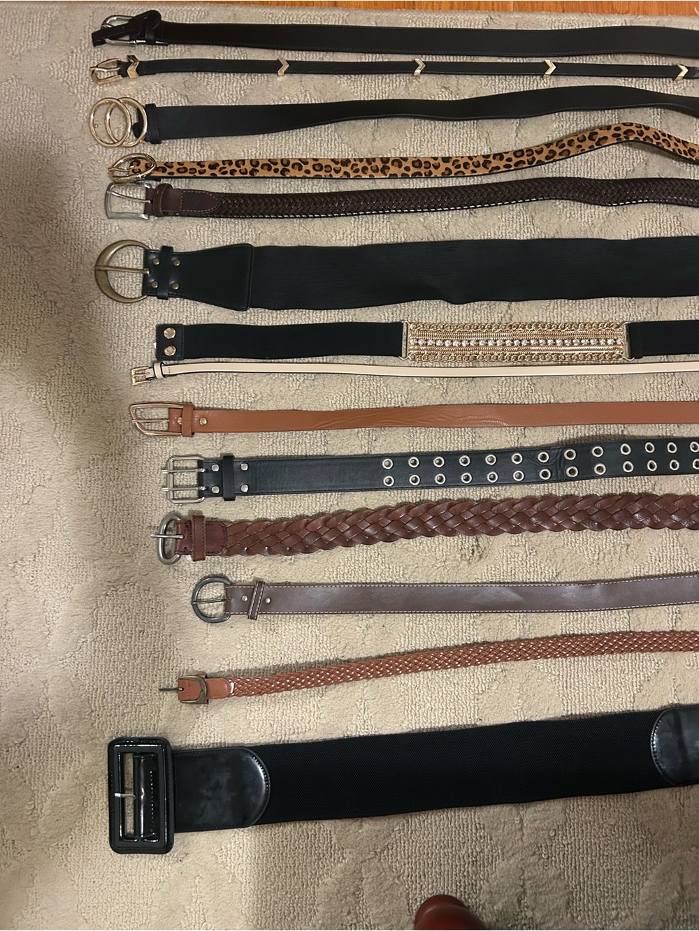 H&M Women’s Multi-Style Belt Set — Black, Brown, Tan, Leopard